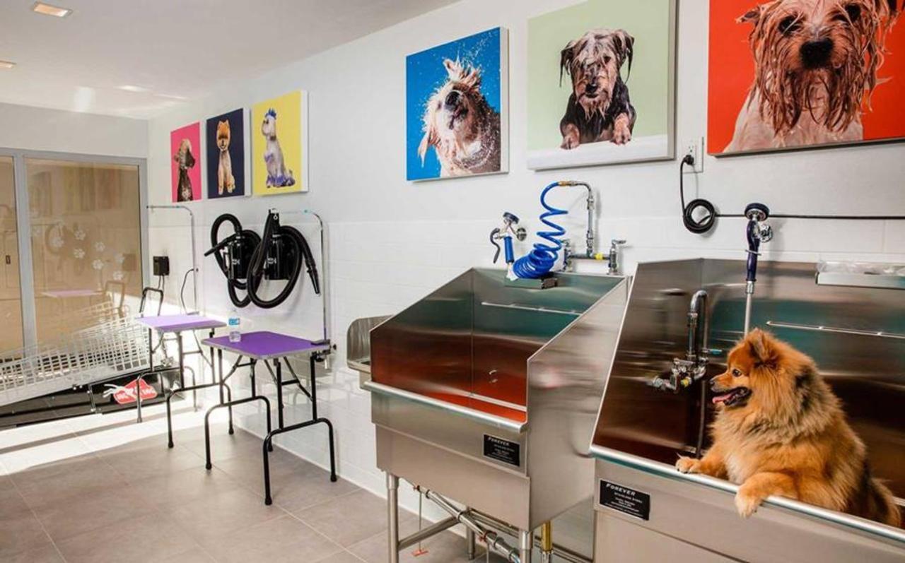 Apartamento Hollywood 1Br W Pool Gym Nr Santa Monica Blvd Lax-906 Los Ángeles Exterior foto